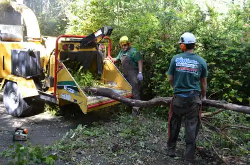 tree services Fillmore